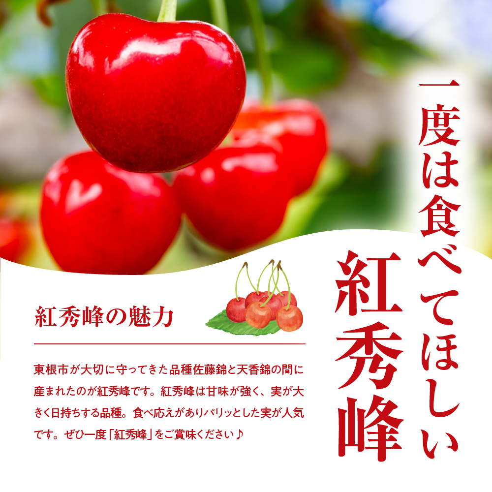 【2026年産 先行予約】GI 「東根さくらんぼ」紅秀峰 800g バラ詰め JA園芸部提供 山形県 東根市　hi001-040