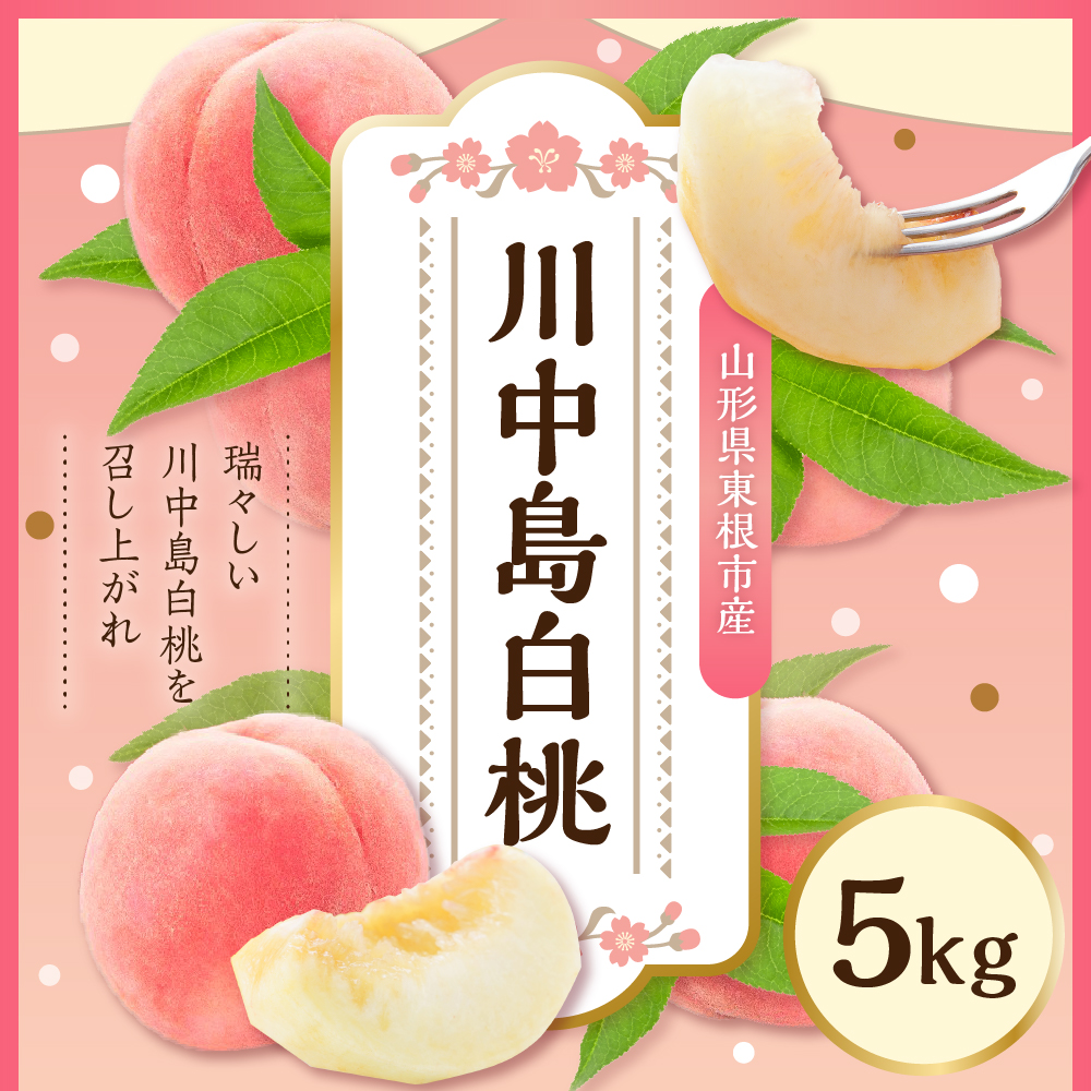 【2026年産 先行予約】 2026年もも「川中島白桃」5kg JA提供 山形県 東根 hi003-154