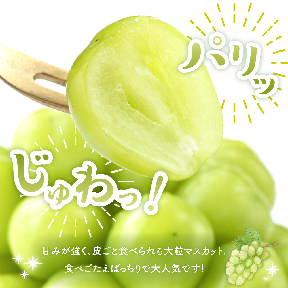 【2026年 先行予約】ぶどう「シャインマスカット」2房 (約1.3kg～1.4kg) 山形県 東根市 hi003-153