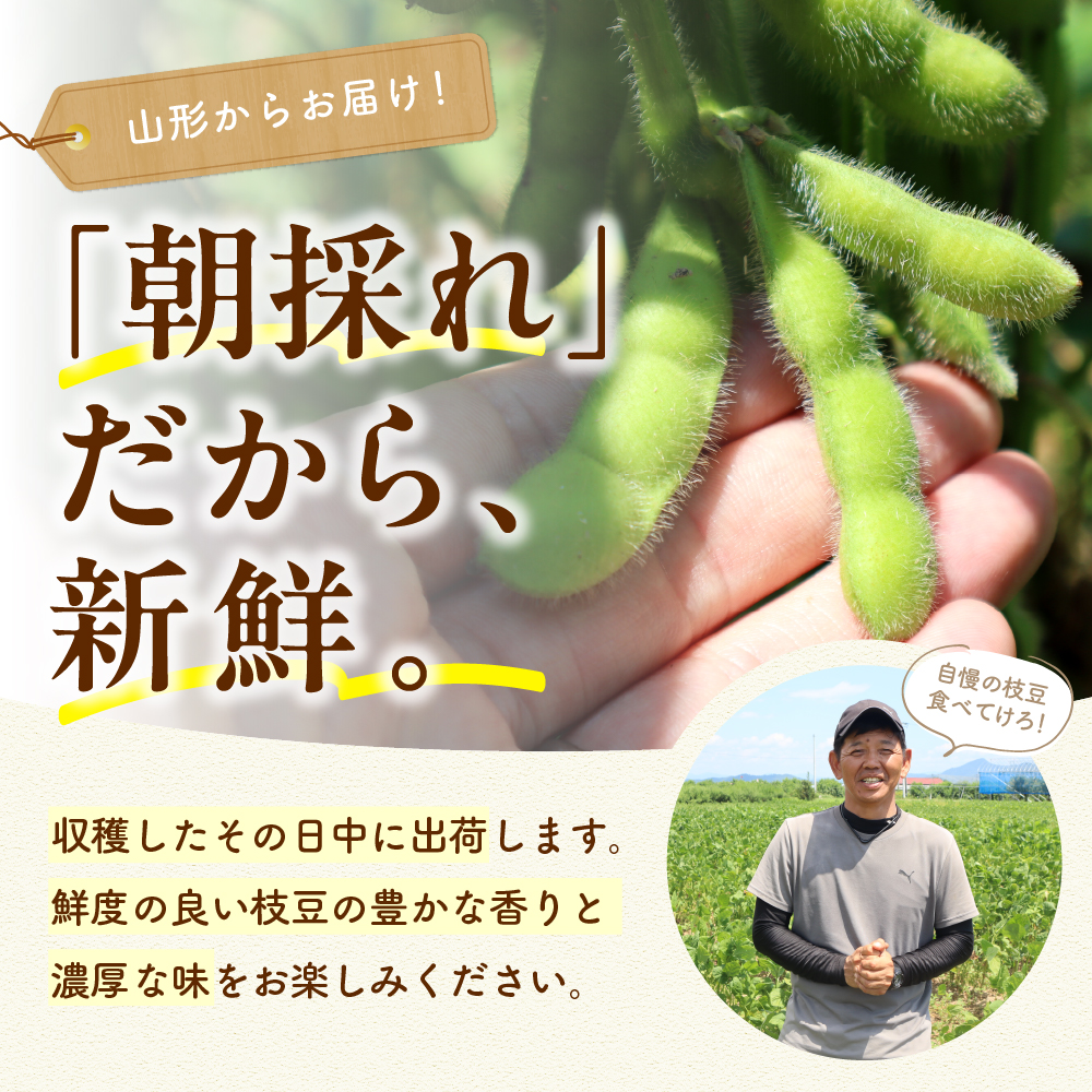 【2026年産】 枝豆 「秘伝豆」 1.5kg よってけポポラ提供 hi003-163