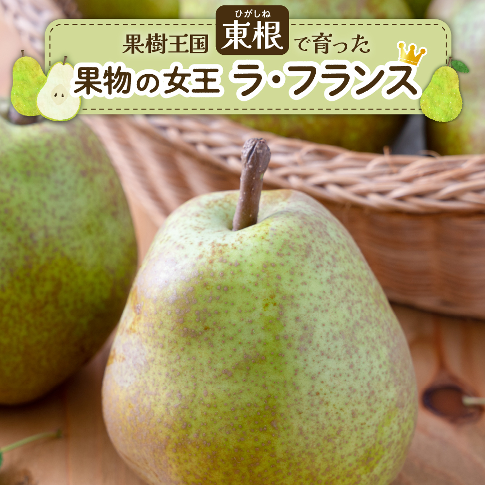 【2026年産】 洋なし「ラ・フランス」 2kg よってけポポラ提供 hi003-166 2kg