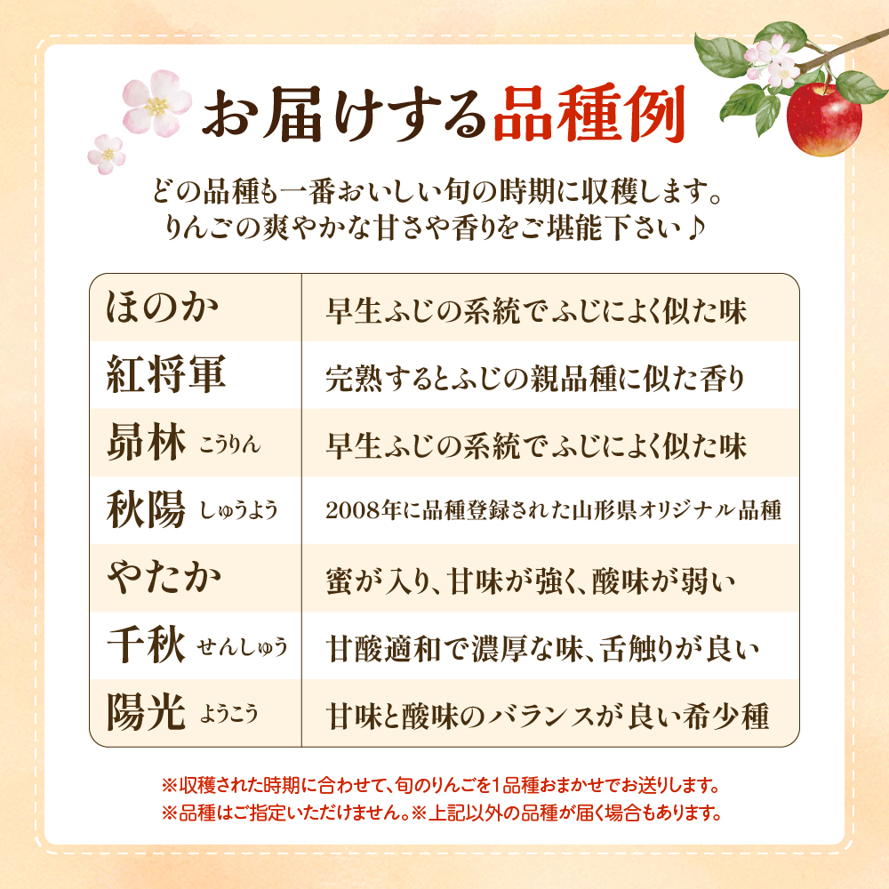 【2026年産】 りんご(品種おまかせ) 10kg よってけポポラ提供 hi003-165