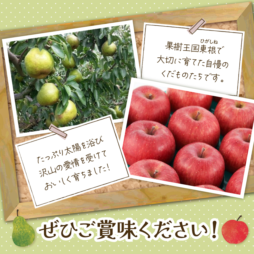 【2026年11月以降お届け】ラ・フランス＆りんご 2回定期便 山形県 東根市 よってけポポラ提供 hi003-158