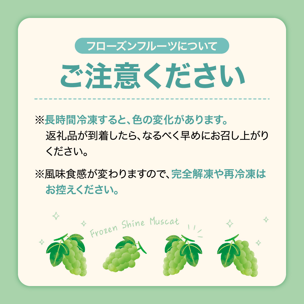 【瞬間冷凍】東根市産 シャインマスカット 100g×5袋 東根農産センター提供 hi027-245