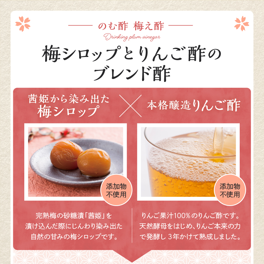 のむ酢梅え酢720ml×2本　果実酢 お酢 ビネガー 有限会社壽屋提供 山形県 東根市　hi004-hi036-021r