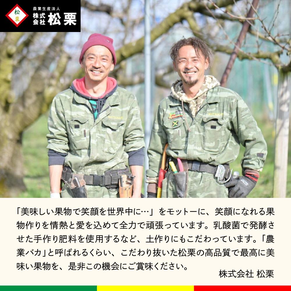 【2026年産】真の果実 贈答用 白桃2kg 松栗提供 山形県 東根市 hi062-055