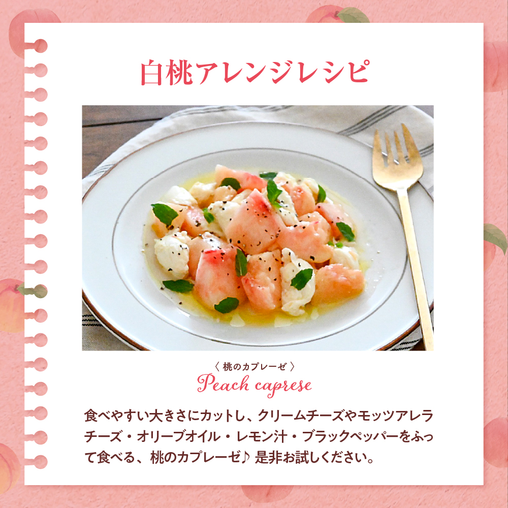 【2026年産】白桃 品種おまかせ 秀品2kg(やわらかめ) 松栗提供 山形県 東根市 hi062-057 白桃 品種おまかせ 秀品2kg(やわらかめ)