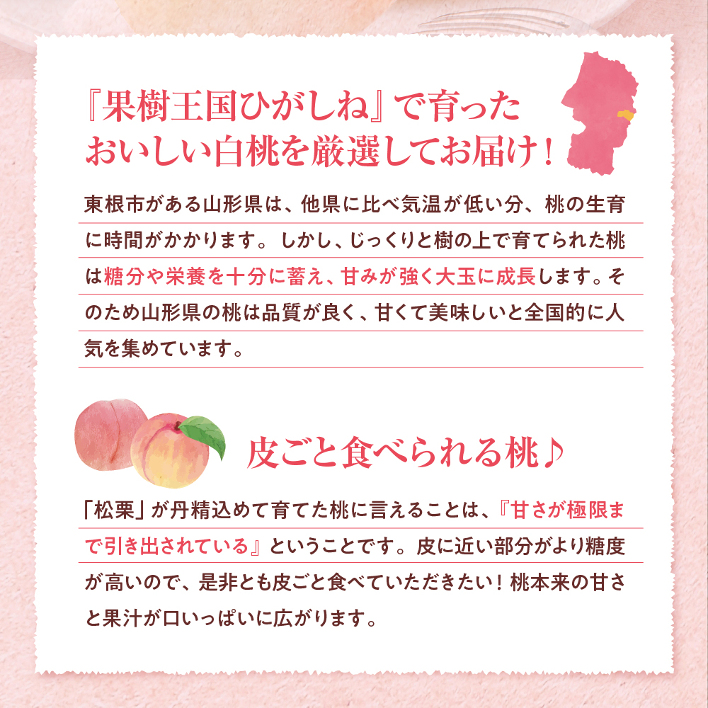 【2026年産】白桃 品種おまかせ 訳あり2kg(やわらかめ) 松栗提供 山形県 東根市　hi062-059 白桃 品種おまかせ 訳あり2kg(やわらかめ)