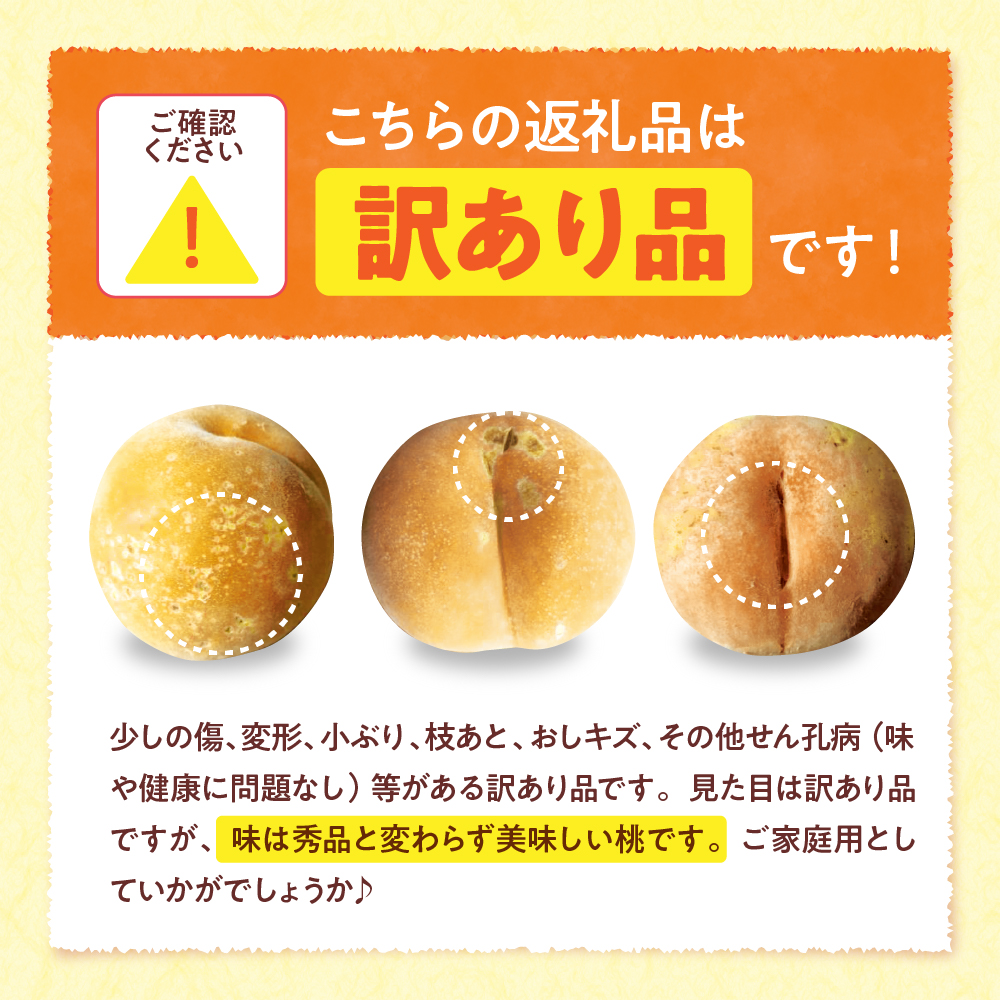 【2026年産】黄桃 品種おまかせ 訳あり2kg(硬め)松栗提供 山形県 東根市 hi062-063 黄桃 品種おまかせ 訳あり2kg(硬め)