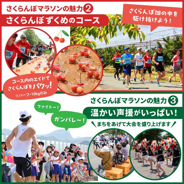 2026年6月7日開催　第23回果樹王国ひがしねさくらんぼマラソン大会出走権 +さくらんぼ500g（当日配付） hi007-005-003 出走権+さくらんぼ500g付