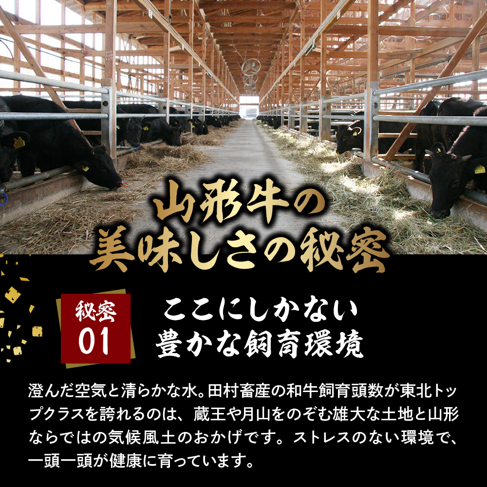 2026年6月7日開催　第23回果樹王国ひがしねさくらんぼマラソン大会出走権 +山形牛ロースすき焼き用(約400g) hi007-005-010