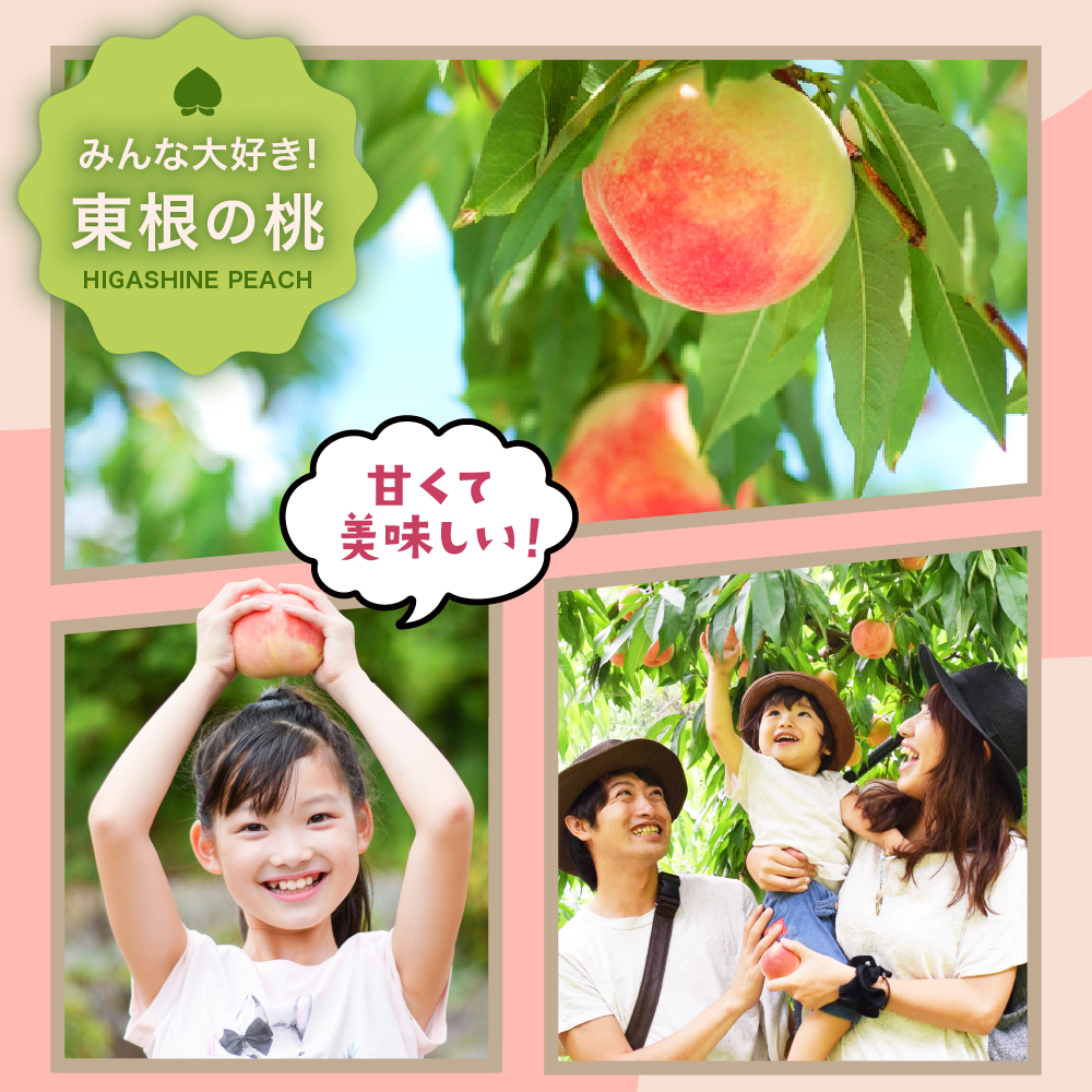 【2026年産 先行予約】 白桃＆黄桃 詰め合わせ (品種おまかせ) 3kg 秀品 化粧箱入り 東根農産センター提供 山形県 東根市 hi027-264