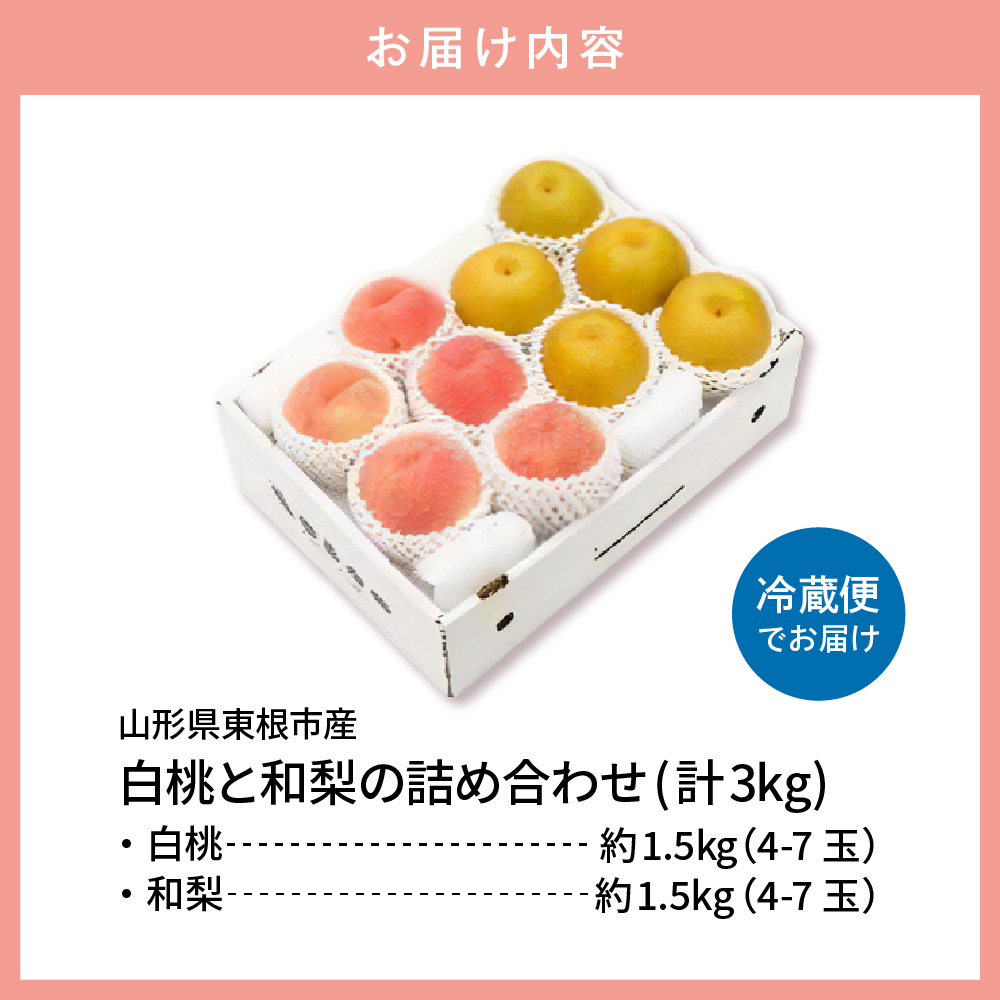 【2026年】東根市産 白桃（品種おまかせ）＆和梨 詰め合わせ 3kg 秀品 化粧箱入り 山形県 東根市 hi027-240