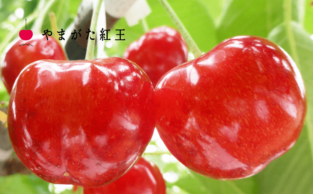 2026年「やまがた紅王」35粒桐箱詰め 特秀品 2Lサイズ 東根農産センター提供 山形県 東根市 hi027-232