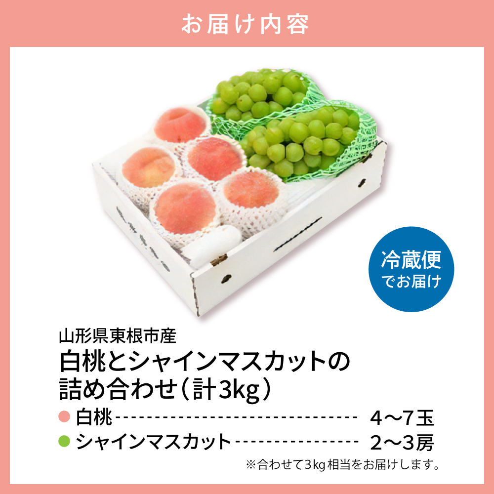 【2026年】 東根市産 白桃（品種おまかせ）秀品＆シャインマスカット詰め合わせ 化粧箱入り3kg 山形県 東根市 hi027-238