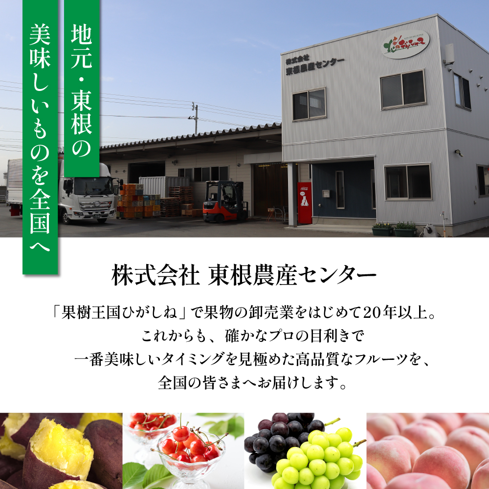 【瞬間冷凍】東根市産 カット済み ラフランス＆シャインマスカット 大容量 各500g 東根農産センター提供 hi027-255