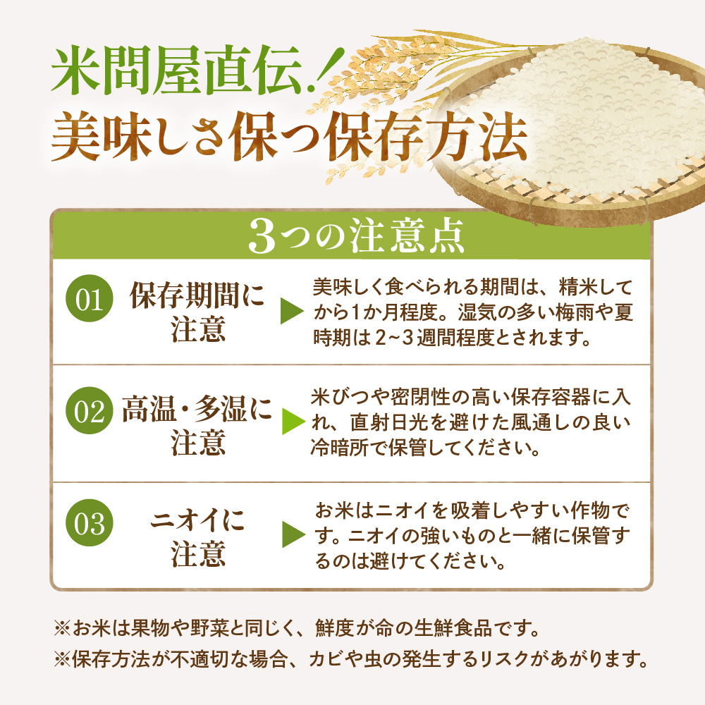 【令和7年産米】※2026年10月後半発送※ はえぬき25kg 山形県 東根市産 深瀬商店提供 hi053-064-103 2026年10月後半発送
