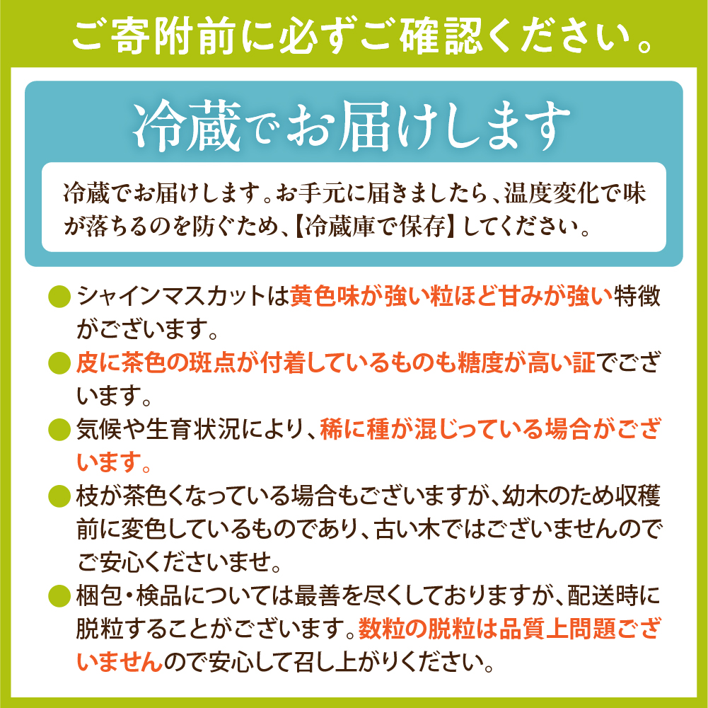 【2026年産】ぶどうMIX詰め合わせ 訳ありバラ 約1kg 山形県 東根市 松栗提供 hi062-067