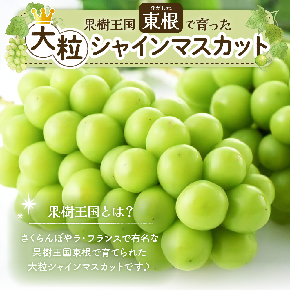 【2026年 2回定期便】GI東根さくらんぼandシャインマスカットコース（佐藤錦露地900g、シャインマスカット2房）山形県 東根市 hi999-047