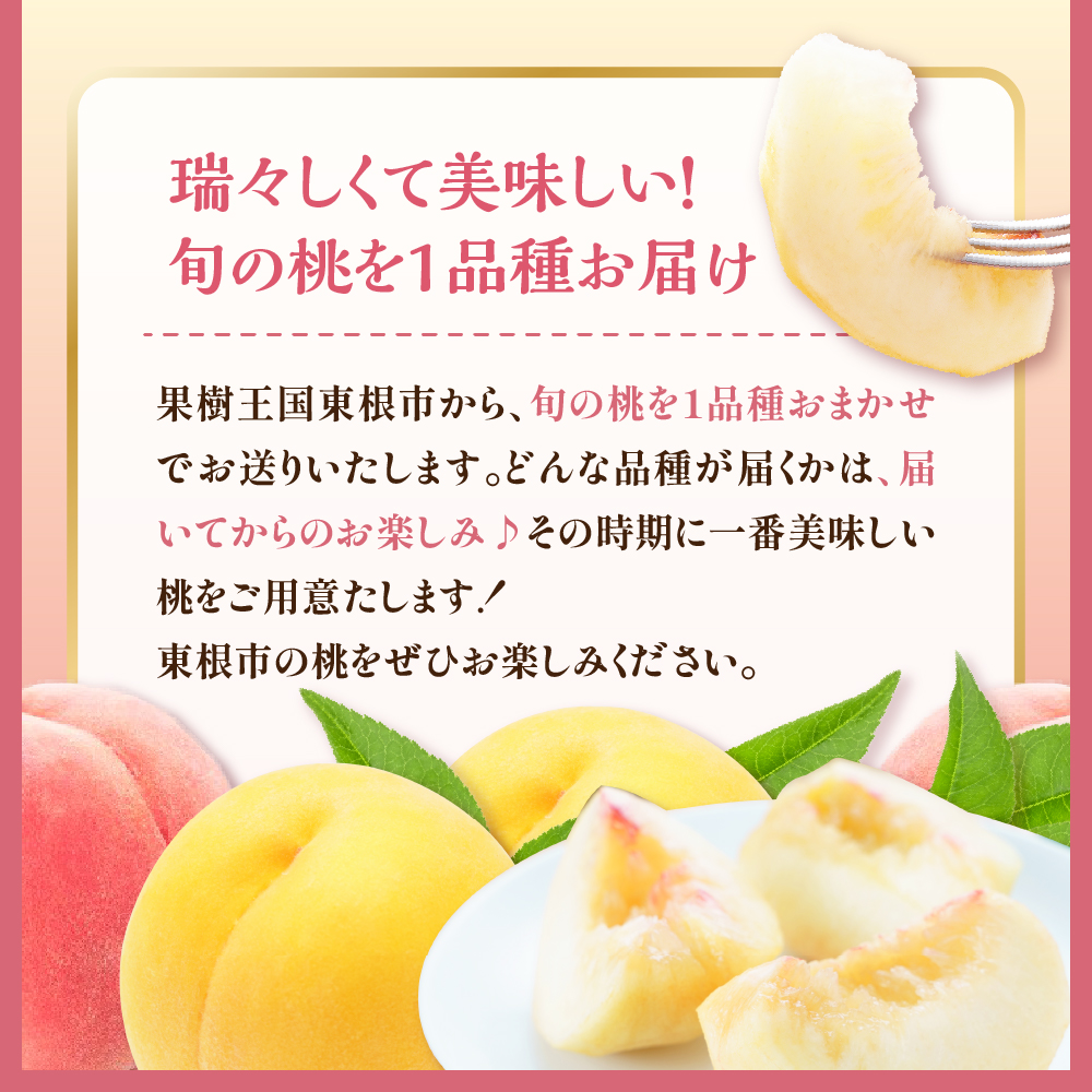 【2026年 3回定期便】東根市人気フルーツコース さくらんぼ もも シャインマスカット山形県 東根市 hi999-048