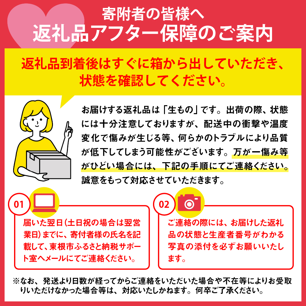 【2026年産 先行予約】もも (品種おまかせ) 3kg JA提供 山形県 東根市 hi003-156