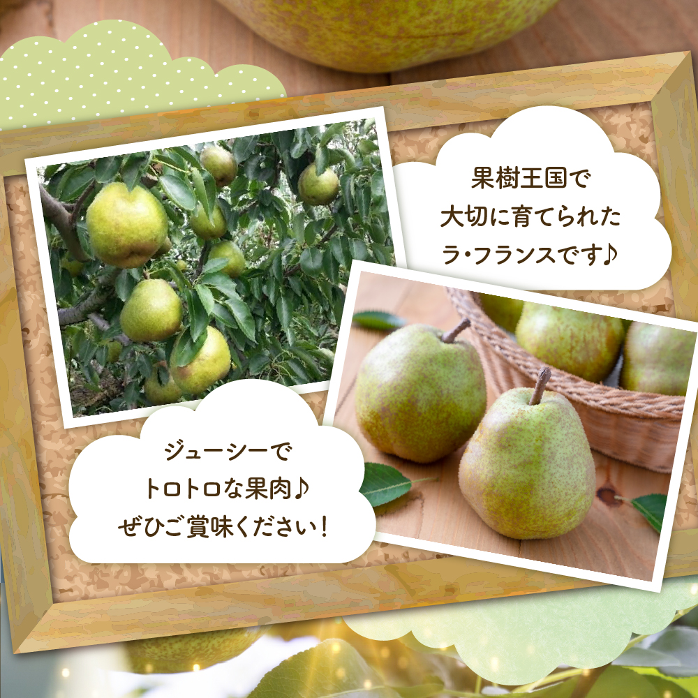 【2026年産】 洋なし「ラ・フランス」 2kg よってけポポラ提供 hi003-166 2kg