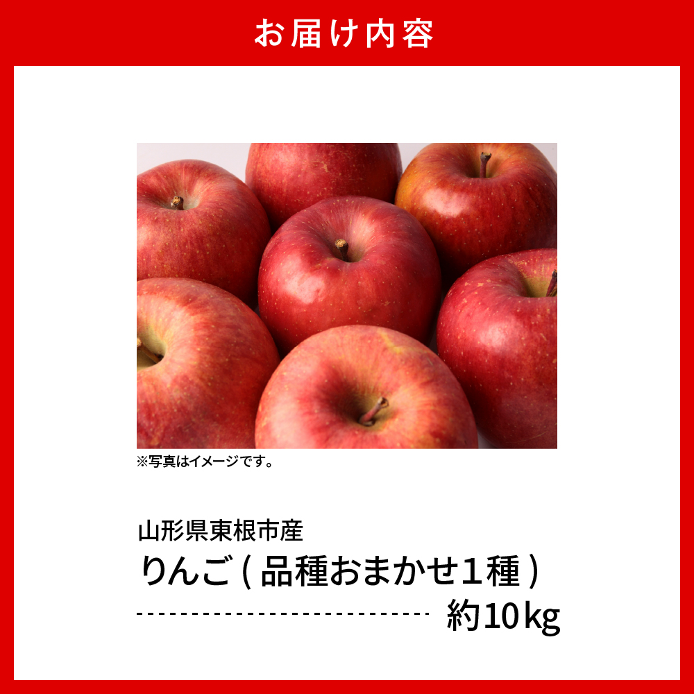【2026年産】 りんご(品種おまかせ) 10kg よってけポポラ提供 hi003-165