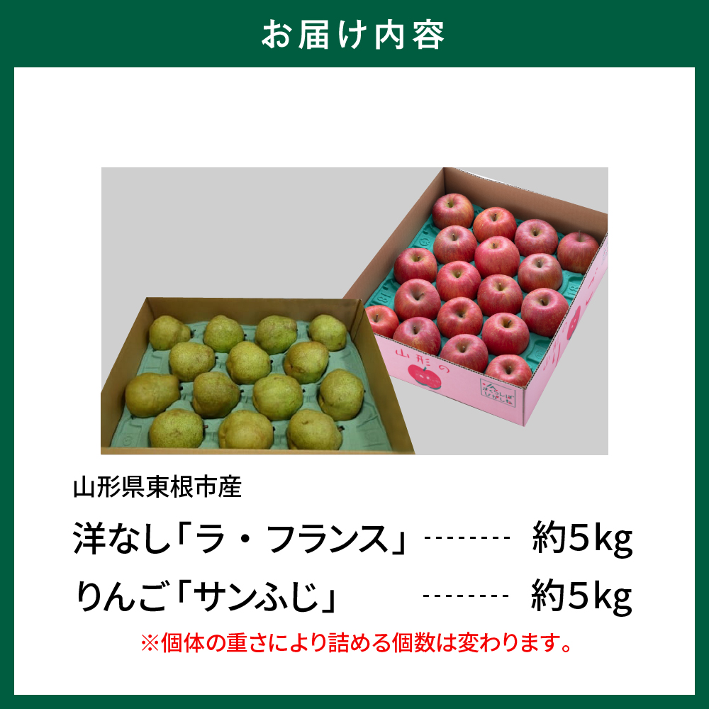 【2026年11月以降お届け】ラ・フランス＆りんご 2回定期便 山形県 東根市 よってけポポラ提供 hi003-158