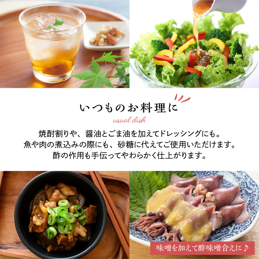 のむ酢梅え酢720ml×1本　果実酢 お酢 ビネガー 有限会社壽屋提供 山形県 東根市　hi004-hi036-020r