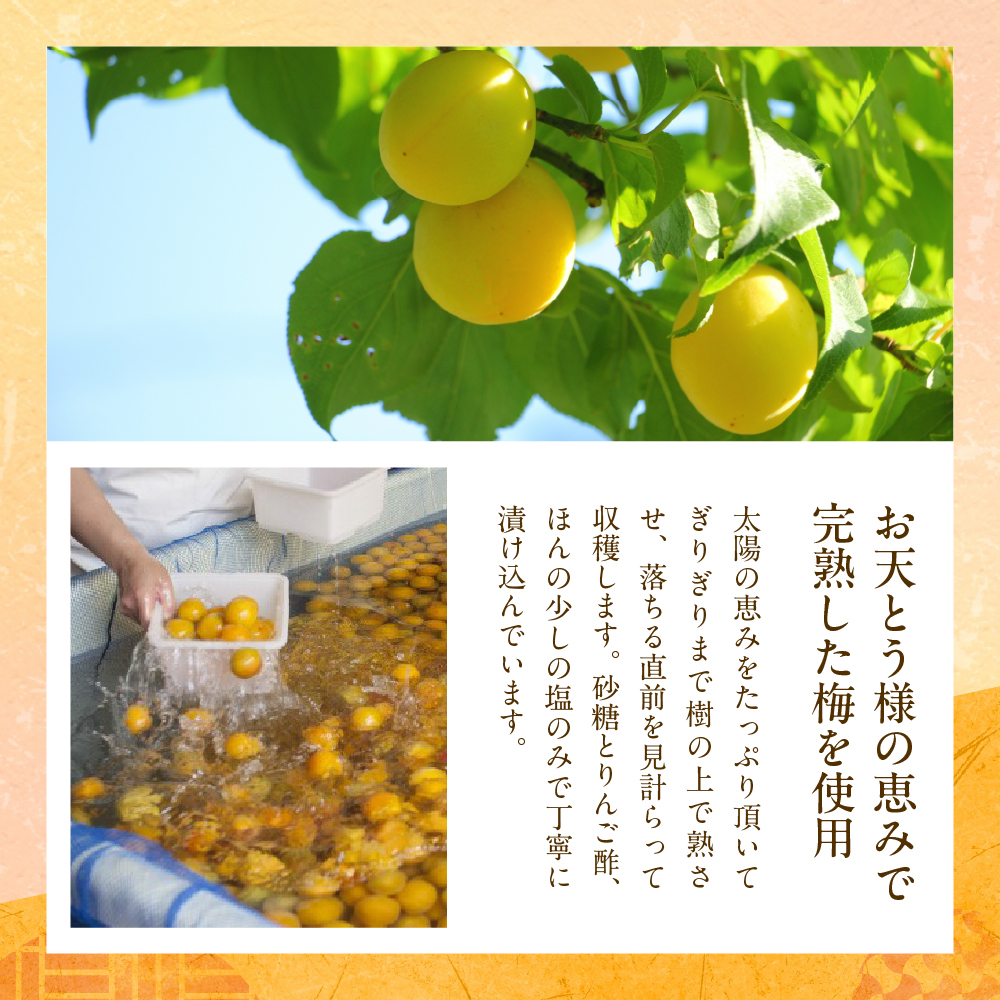 梅シロップ「梅しづく」290ml×4袋（３倍から５倍希釈） 有限会社壽屋提供　山形県 東根市　hi004-hi036-078