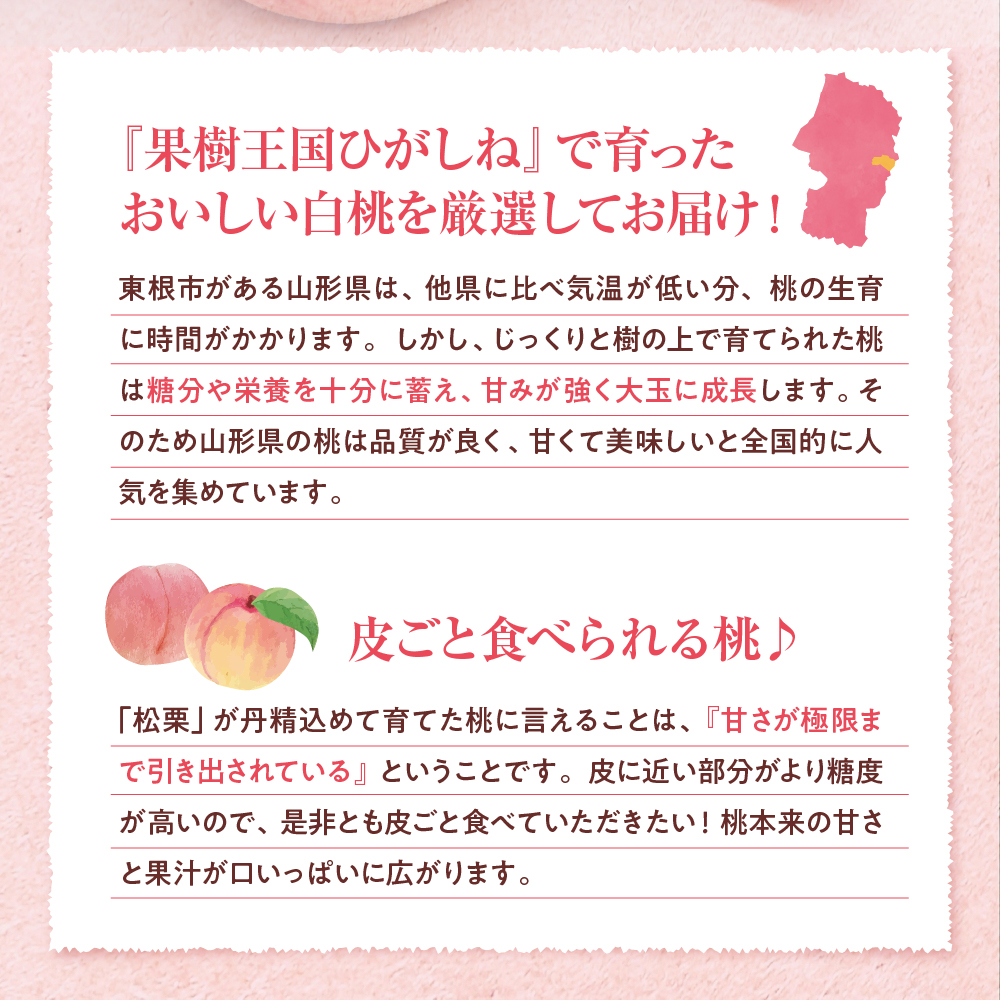 【2026年産】白桃 品種おまかせ 訳あり2kg(硬め) 松栗提供 山形県 東根市 hi062-058 白桃 品種おまかせ 訳あり2kg(硬め)
