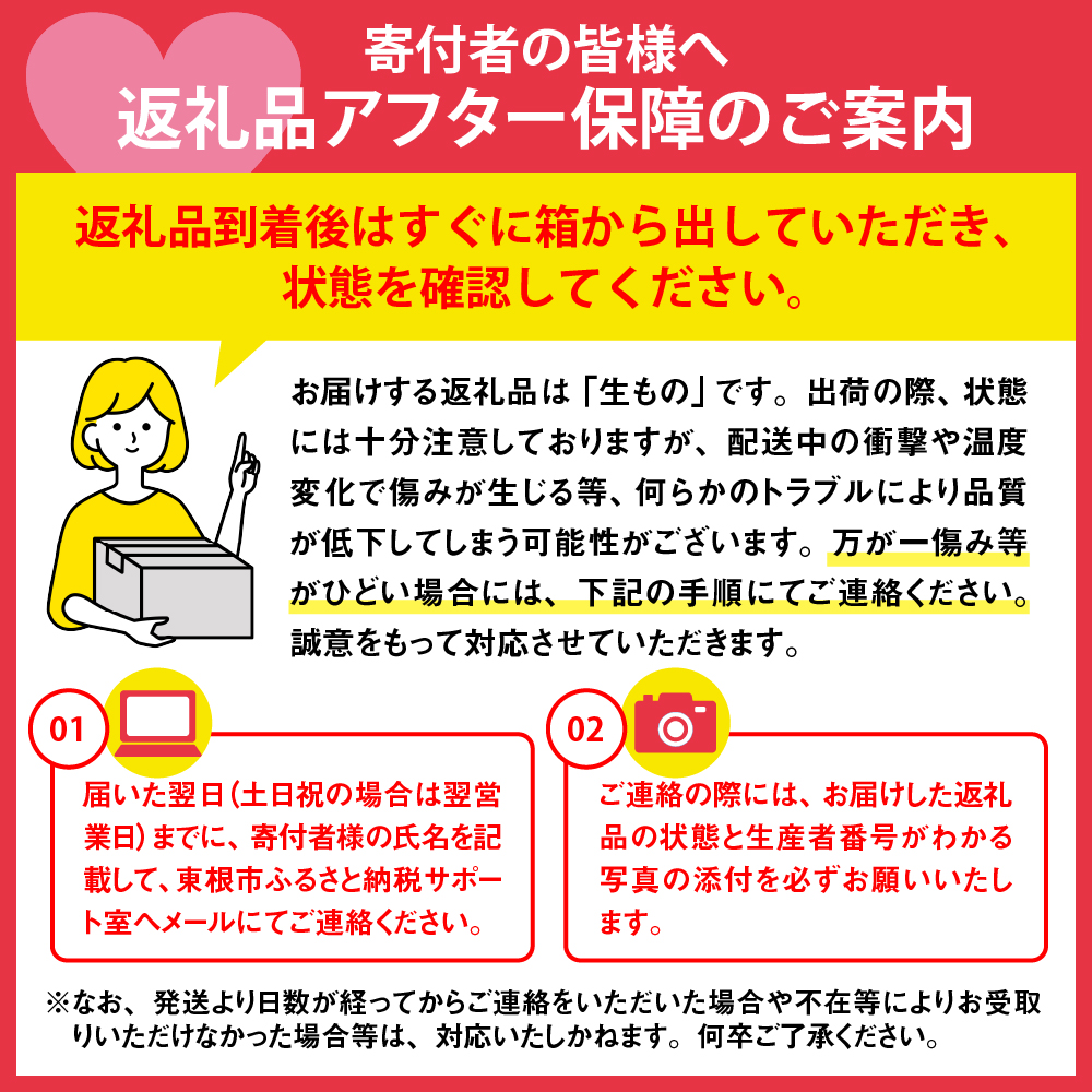 【2026年産　先行予約】紅秀峰 秀品 500g 山形県 東根市　hi062-052