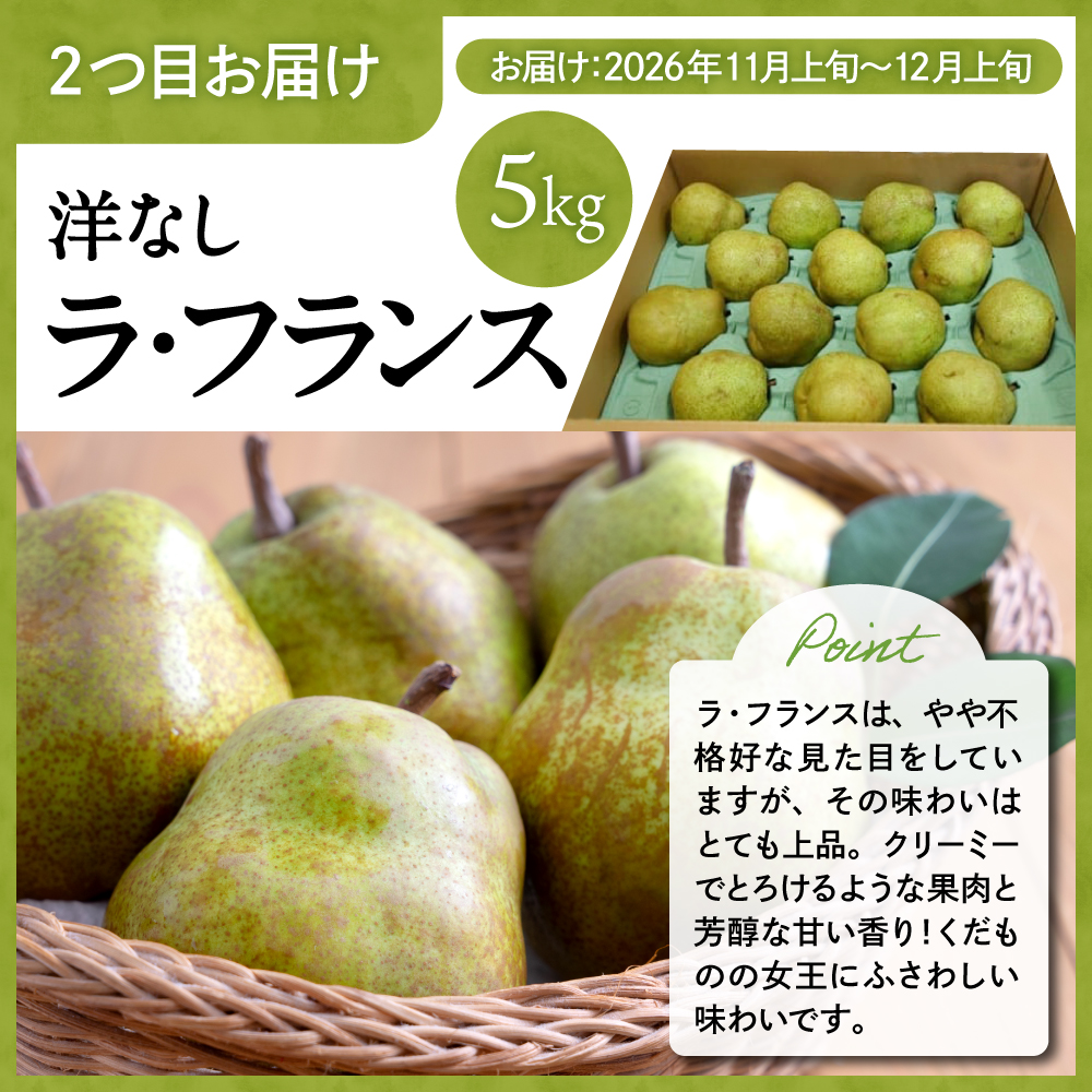 【2回定期便】2026年　ラ・フランス＆山形牛コース (2026年10月以降お届け） hi999-041