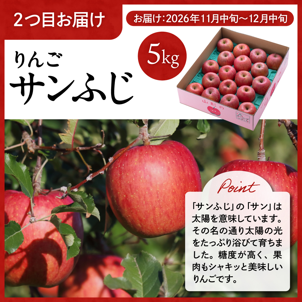 【2回定期便】山形牛＆りんご コース（2026年10月以降お届け） 山形県 東根市  hi999-043