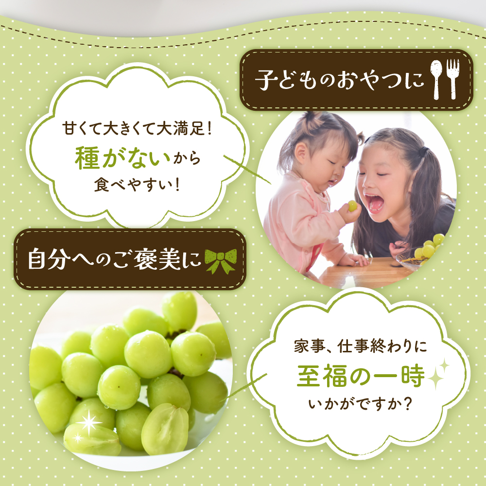 【2026年 3回定期便】東根市人気フルーツコース さくらんぼ もも シャインマスカット山形県 東根市 hi999-048