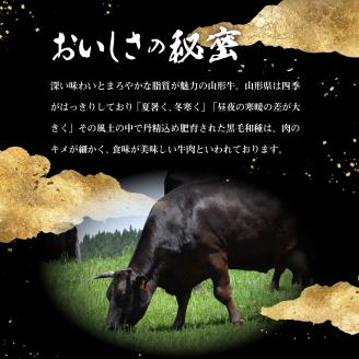厳選山形牛の定期便　全4回 総量約3.3kg 晴天畑提供　hi004-hi026-020r
