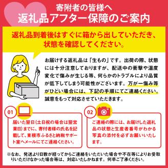 【2026年産 先行予約】 白桃 (品種おまかせ) 2kg 秀品 化粧箱入り 東根農産センター提供 山形県 東根市 hi027-257