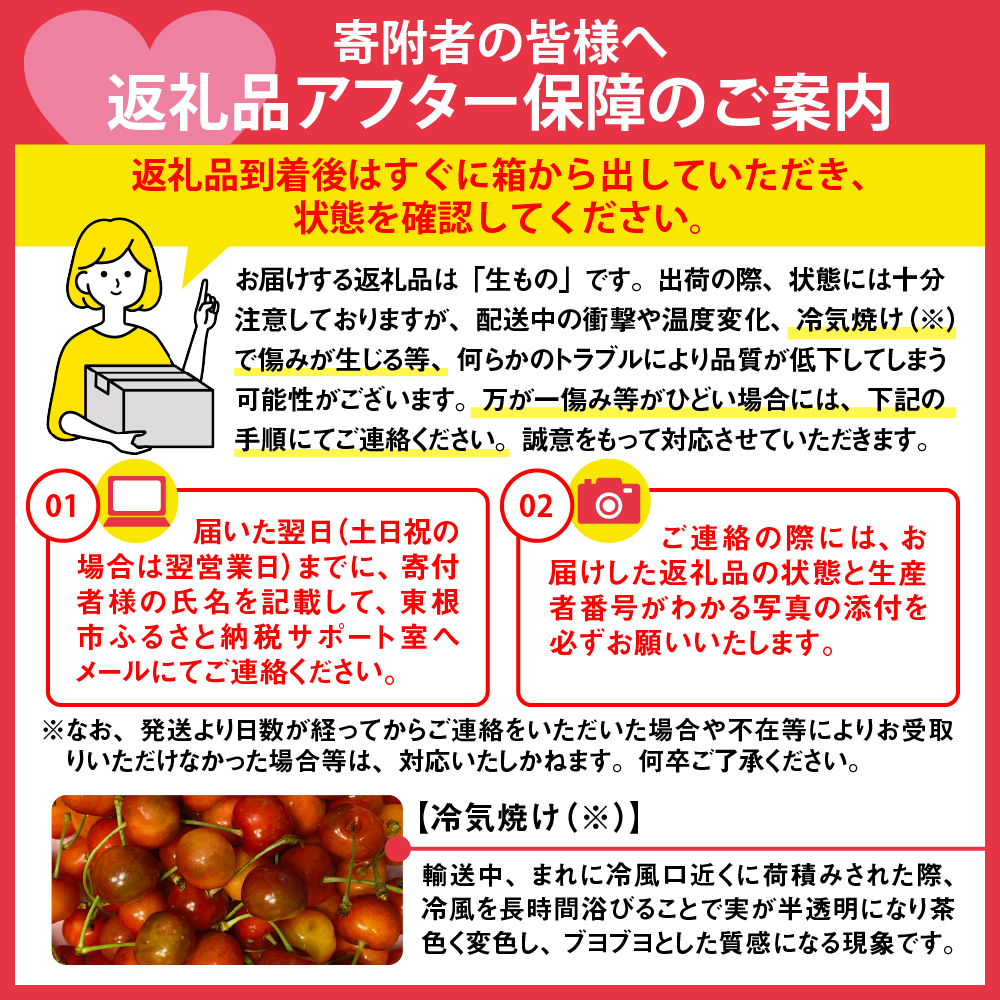 2026年 東根産さくらんぼ「紅秀峰」1kgバラ詰め(500g×2ﾊﾟｯｸ) 秀品 Lサイズ 東根農産センター提供 山形県 東根市 hi027-224