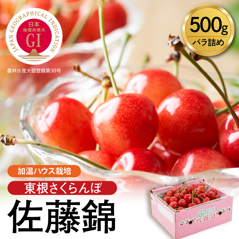 【2026年産 先行予約】超先取り！加温ハウス栽培 GI 「東根さくらんぼ」佐藤錦 500gバラ詰め JA園芸部提供 山形県 東根市 hi001-037