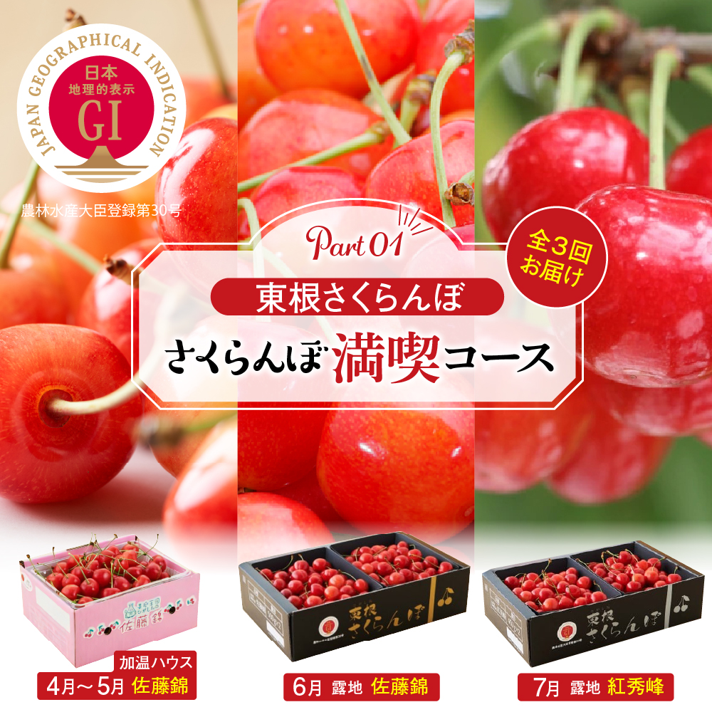 【2026年産 先行予約】GI「東根さくらんぼ」 さくらんぼ 満喫 コース Part１　(2026年4月下旬～5月中旬からスタート) 山形県 東根市　hi001-042