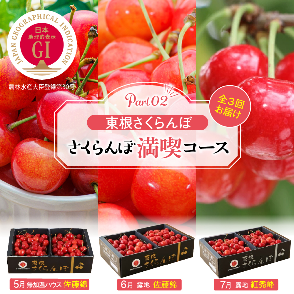 【2026年産 先行予約】 GI「東根さくらんぼ」 さくらんぼ 満喫 コース Part2 (2026年5月下旬～6月上旬からスタート) 山形県 東根市　hi001-043