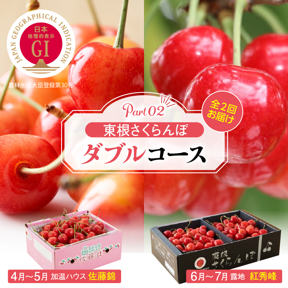 【2026年産 先行予約】東根さくらんぼ　ダブルコースpart2（佐藤錦加温500g、紅秀峰800g） 山形県 東根市 hi001-045