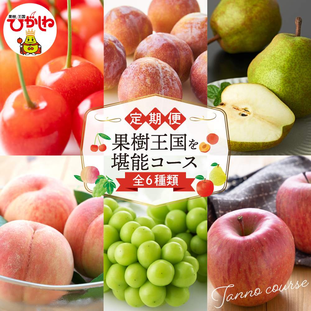 【2026年先行予約 6回 定期便】果樹王国を堪能コース 山形県 東根市 さくらんぼ もも プラム シャインマスカット ラ・フランス りんご hi999-045