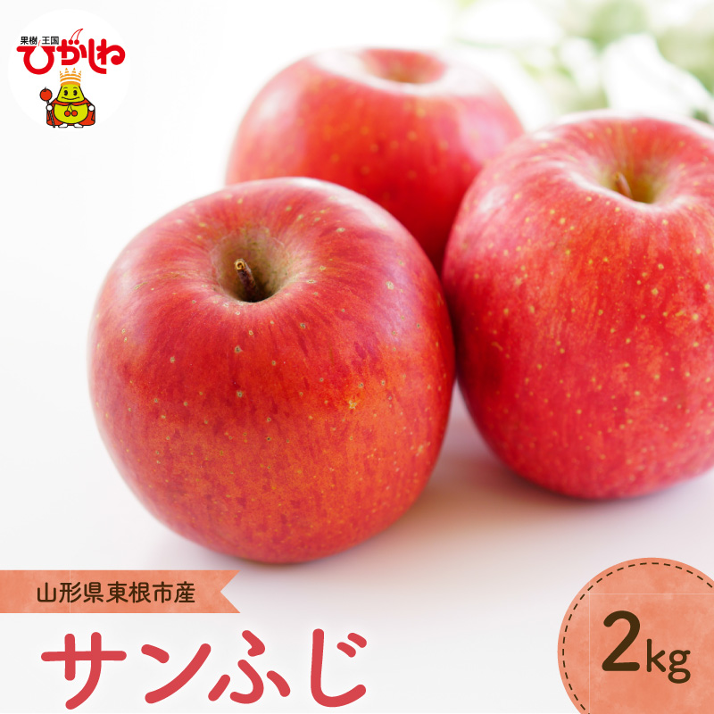 【2026年産】りんご「サンふじ」2kg よってけポポラ提供 hi003-170 2kg
