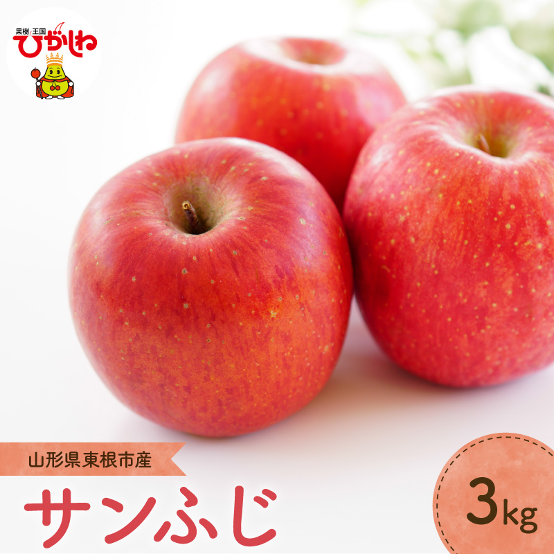 【2026年産】りんご「サンふじ」3kg よってけポポラ提供 hi003-171 3kg
