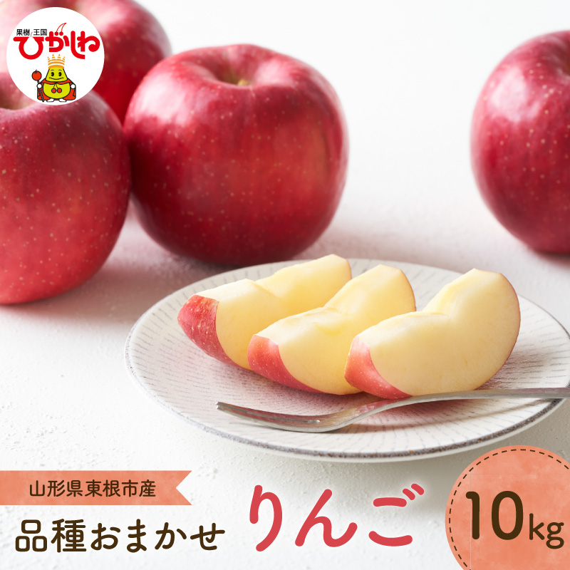 【2026年産】 りんご(品種おまかせ) 10kg よってけポポラ提供 hi003-165