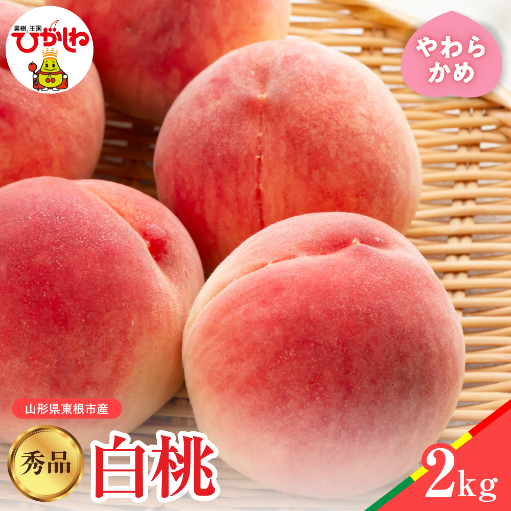 【2026年産】白桃 品種おまかせ 秀品2kg(やわらかめ) 松栗提供 山形県 東根市 hi062-057 白桃 品種おまかせ 秀品2kg(やわらかめ)