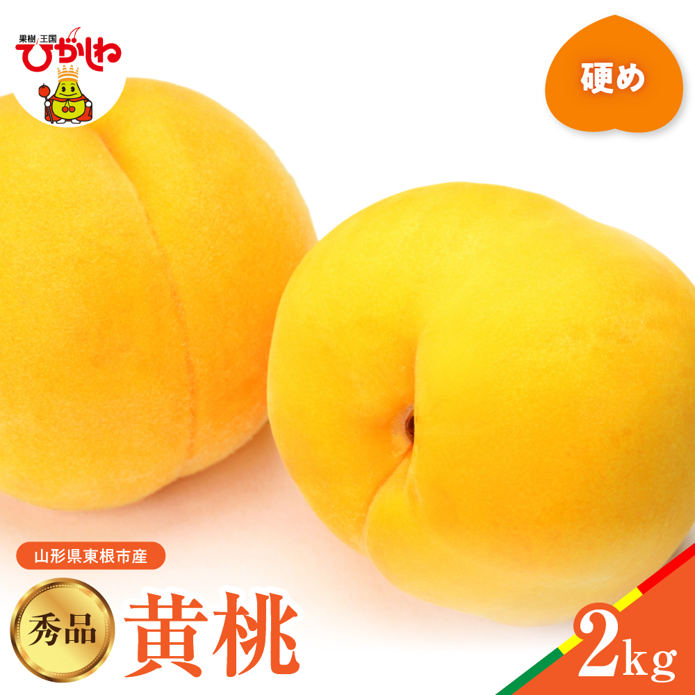 【2026年産】黄桃 品種おまかせ 秀品2kg(硬め) 松栗提供 山形県 東根市 hi062-061 黄桃 品種おまかせ 秀品2kg(硬め)