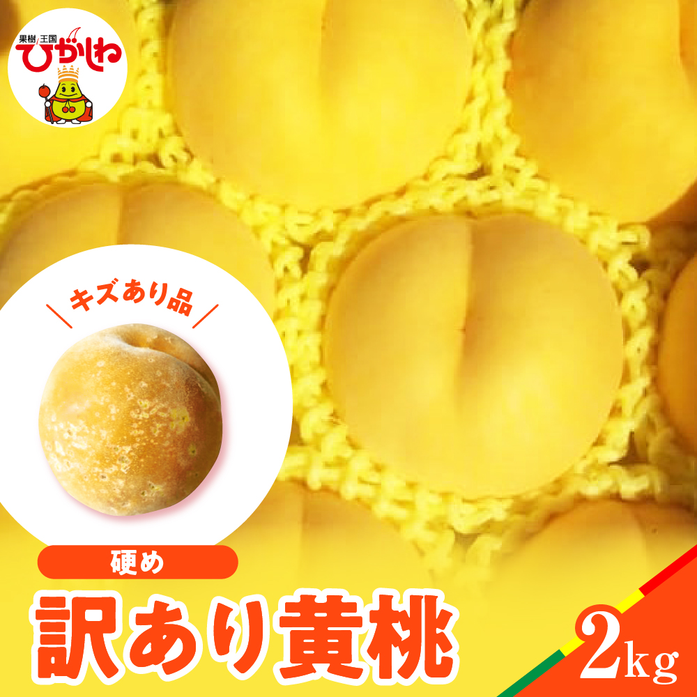 【2026年産】黄桃 品種おまかせ 訳あり2kg(硬め)松栗提供 山形県 東根市 hi062-063 黄桃 品種おまかせ 訳あり2kg(硬め)