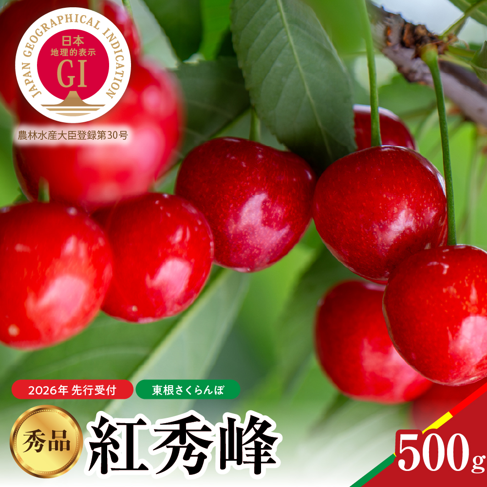 【2026年産　先行予約】紅秀峰 秀品 500g 山形県 東根市　hi062-052